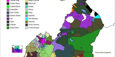 Kaart van Kameroen taal